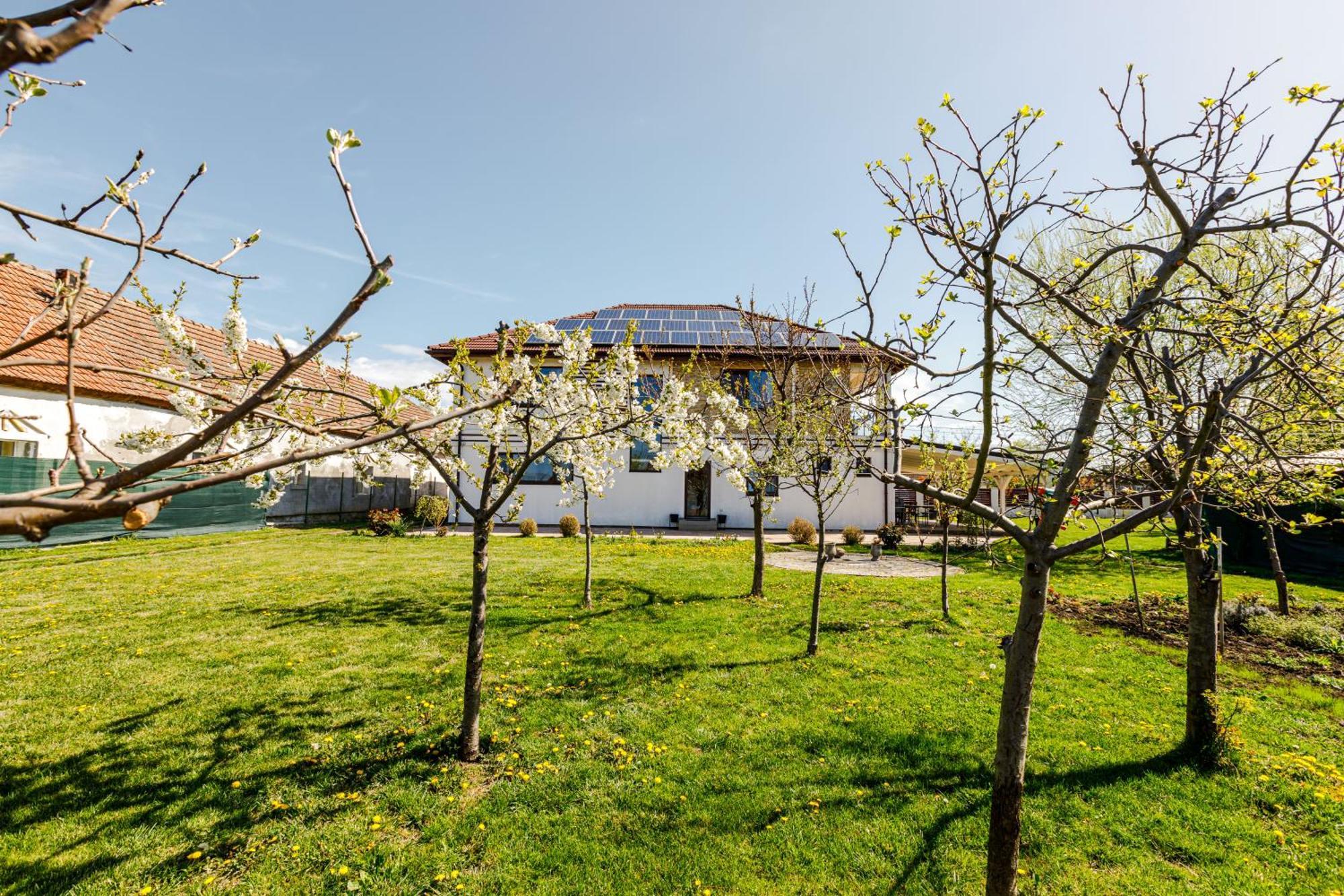 Hotel Gasthaus Sacalaz Timisoara Exterior foto